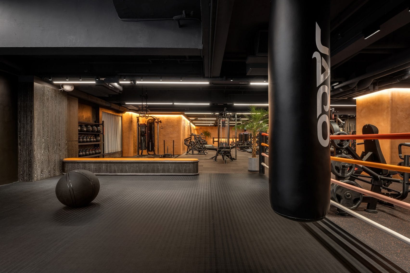 Gym_Town_Hong_Kong_Elon_Musk_Design_Alive_10