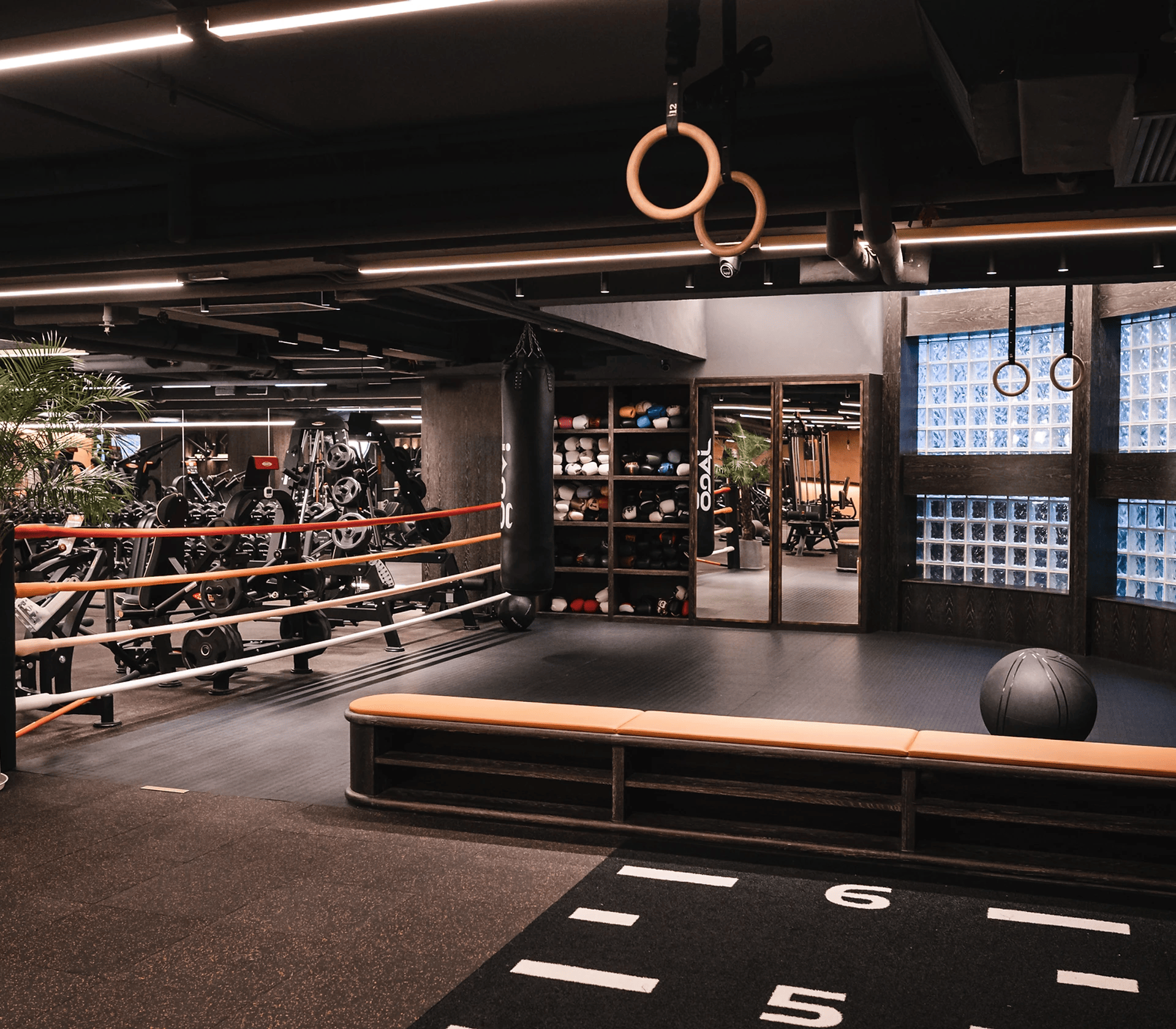 Gym_Town_Hong_Kong_Elon_Musk_Design_Alive_5.jpg