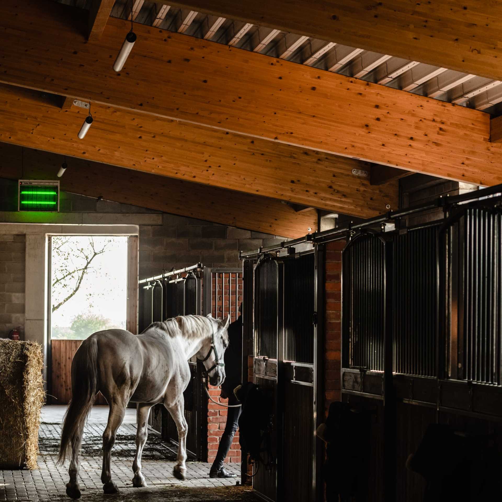 horse-house_wiercinski-studio_designalive-10