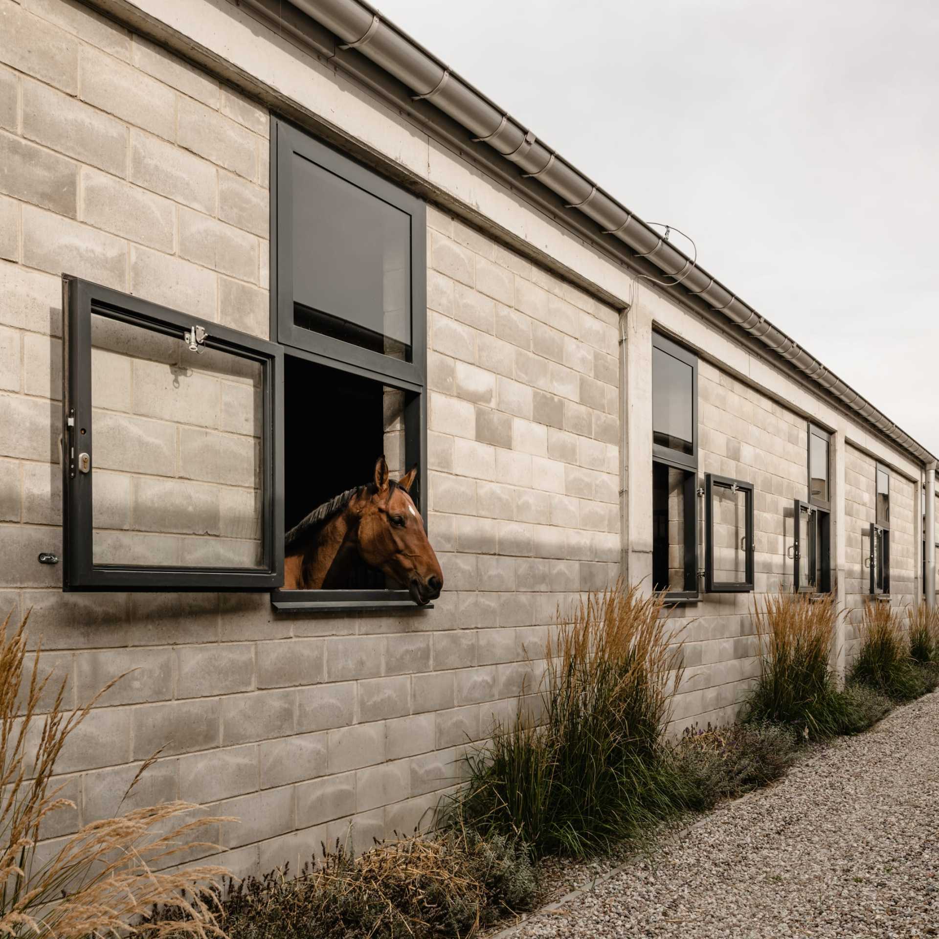 horse-house_wiercinski-studio_designalive-5